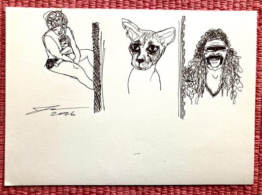 number 213
